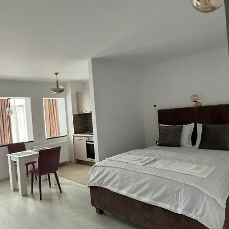 Apartment City Studio Constanta
